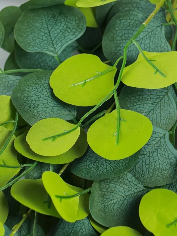 Цветы искусственные &laquo;Эвкалипт популус&raquo;, h=96 см, зелёные