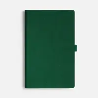 Ежедневник Lungo, недатированный, зеленый