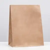 Пакет крафт бумажный фасовочный, прямоугольное дно 26&times;15&times;34 см