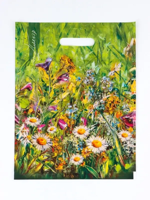 Пакет "Пленер" полиэтиленовый с вырубной ручкой, ламинированый 31х40 см, 30 мкм