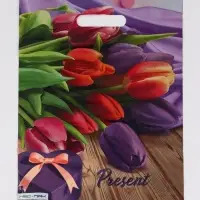 Пакет "Презент, полиэтиленовый с вырубной ручкой 30х40 см, 60 мкм