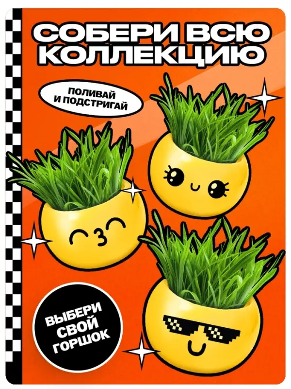 Набор для опытов &laquo;Выращиваем травку&raquo;