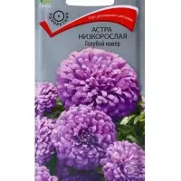 Семена цветов Астра низкорослая "Голубой ковер", 0,2 г