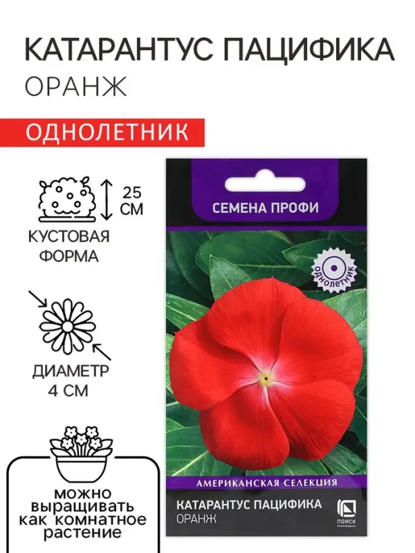 Семена цветов Катарантус Пацифика "Оранж" 10 шт