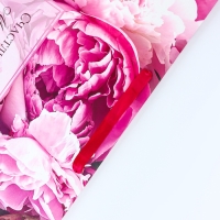 Пакет подарочный ламинированный горизонтальный &laquo;Моменты&raquo;, XL 49 &times; 40 &times; 19 см