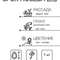 Семена Петуния Марко Поло F1 винно-красная, 7 шт
