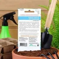 Семена Кабачок "Корнишонный", 6 шт.