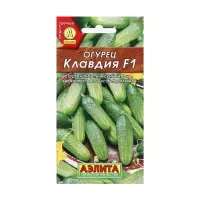 Семена Огурец "Клавдия F1", раннеспелый, партенокарпическии, 10 шт