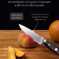 Набор кухонных ножей с подставкой и точилкой Сook Master 5SS