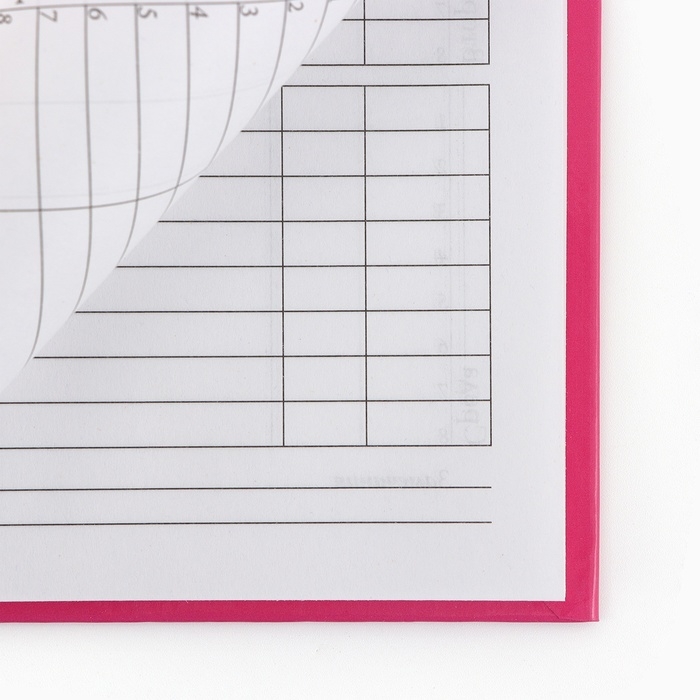 Дневник школьный 1-4 класса, в твердой обложке, 48 л &laquo;Аниме девушка&raquo;