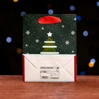 Пакет ламинированный &laquo;Ночь перед рождеством&raquo; 11.5&times;14.5&times;6 см