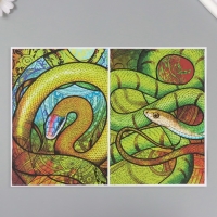 Набор декупажных карт 6 шт &laquo;Девушки и змеи&raquo;, плотность 45 гр/м2, формат А4