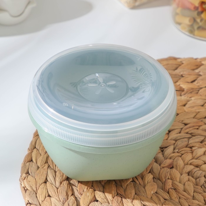 Контейнер пищевой Eco Style, 580 мл, пластик, цвет микс