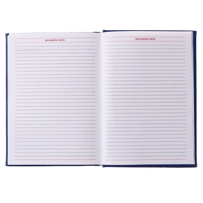 Ежедневник недатированный А5, 160 листов "Вивелла", обложка искусственная кожа, синий