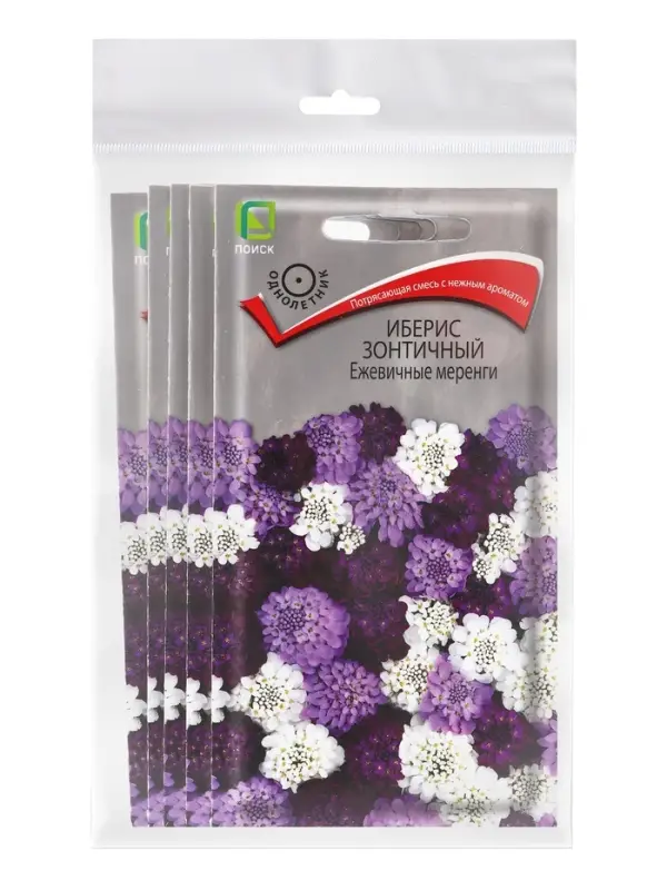 Набор семян Иберис зонтичный "Ежевичные меренги", 5 шт.