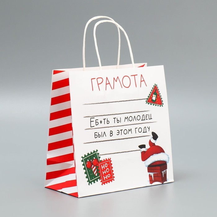 Пакет подарочный новогодний крафтовый &laquo;Молодец&raquo;, 22 х 22 х 11 см, Новый год