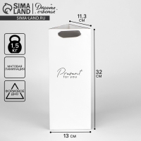 Пакет подарочный под бутылку, упаковка, &laquo;Present&raquo;, 13 х 32 х 11,3 см