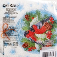 Новый год. Салфетки бумажные New Line Fresco &laquo;Зимние птички&raquo;, 33х33 см, 2 слоя 20 листов