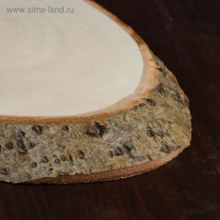 Спил осины, косой, 55х24 &plusmn;2см