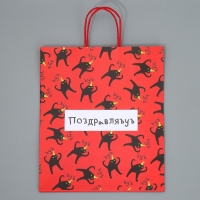 Пакет подарочный крафтовый, упаковка, &laquo;Поздравляю&raquo;, 28 х 32 х 15 см
