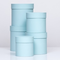 Набор шляпных коробок 5 в 1 "Мята", 20 &times; 20 &times; 20‒13,5 &times; 13,5 &times; 13,5 см