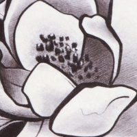 Коврик для ванной Этель Magnolia 53х63&plusmn;2см см, 100% п/э, велюр