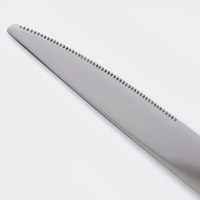 Набор столовых приборов Magistro Flow 24 предмета, цвет серебряный