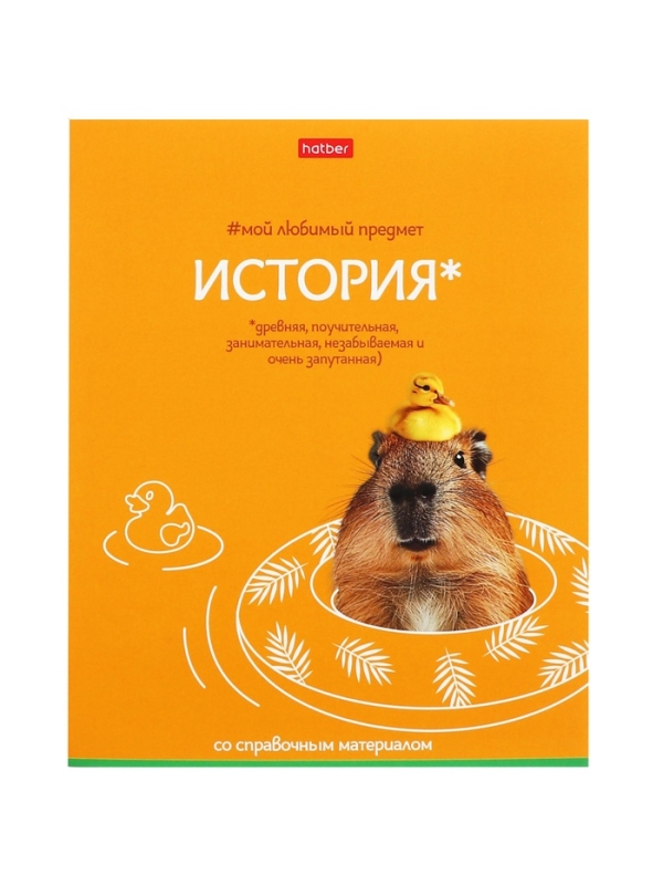 Комплект предметных тетрадей 48 листов, 12 предметов Hatber &laquo;Мой любимый предмет&raquo;, обложка мелованный картон, ламинация Soft-touch, с интерактивным сп...
