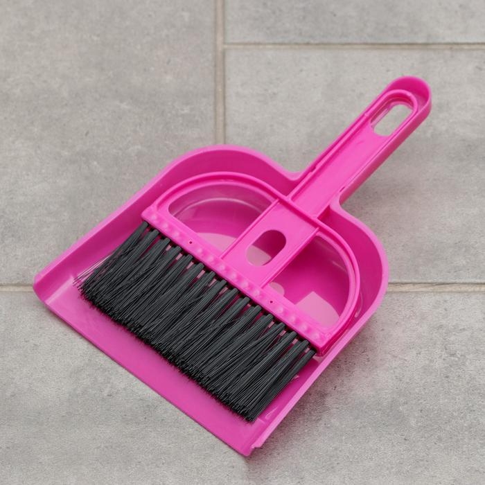 Щётка для пола с совком &laquo;Чистота&raquo;, 20&times;13 см, цвет МИКС