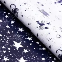 Бумага упаковочная глянцевая двухсторонняя &laquo;Небесные истории&raquo;, 0.5&times;0.7 м,80 г/м