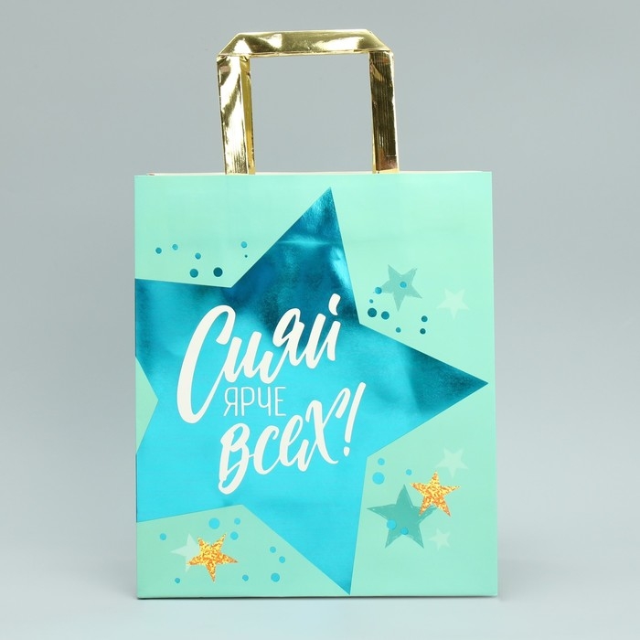 Упаковка, пакет подарочный, &laquo;Сияй&raquo;, ML 23 х 27 х 11.5 см