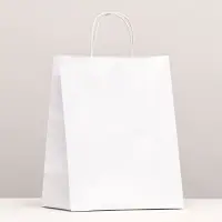Пакет крафт без печати, белый, круглая ручка 24&times;14&times;28 см