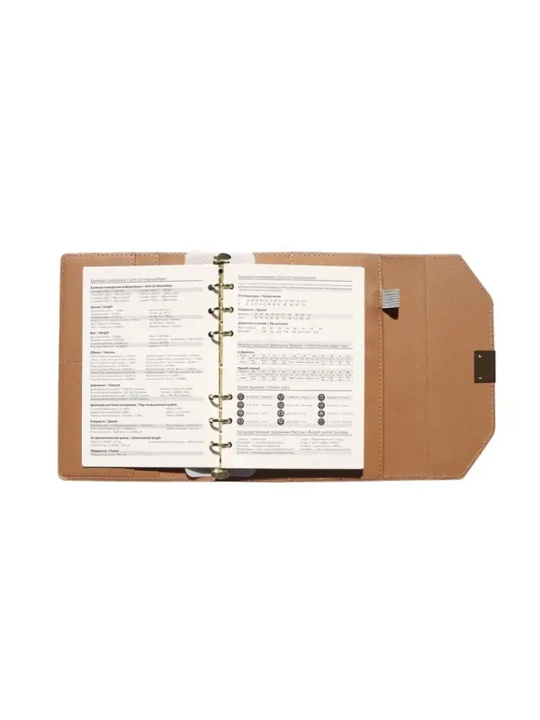 Органайзер на кольцах, C6, с клапаном, 80л, линия, к/зам, Бежевый