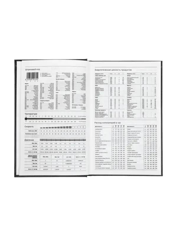 Ежедневник датир 2026г А5 168л б/вин, Черный