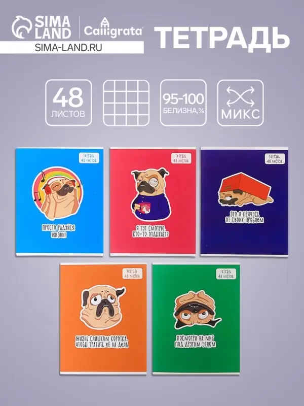 Тетрадь 48 листов в клетку Calligrata &laquo;Мопс&raquo;, обложка мелованный картон, блок офсет, МИКС