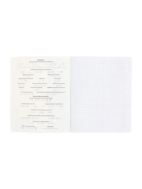 Тетрадь 48 листов в клетку &laquo;Буквица&raquo; ФИЗИКА, обложка мелованный картон, матовая ламинация, тиснение фольгой, с интерактивным справочником, бл...
