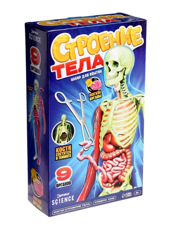 ЭВРИКИ Набор для опытов "Строение тела", светящееся с мягкими органами