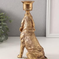 Подсвечник полистоун на 1 свечу "Бладхаунд" золото 11х8х19,5 см