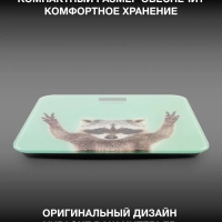 Весы напольные H-BS03589