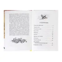 Внеклассное чтение. Кладовая солнца. Автор: Пришвин М.