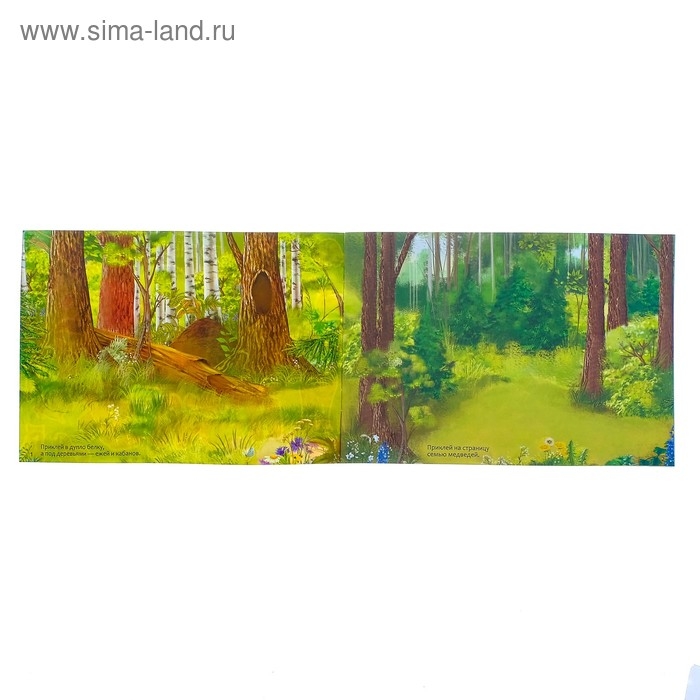 100 наклеек &laquo;Животные леса&raquo;, 12 стр.