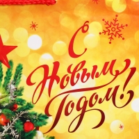 Пакет подарочный новогодний ламинированный &laquo;Золото и снежинки&raquo;, L 28 х 38 х 9 см