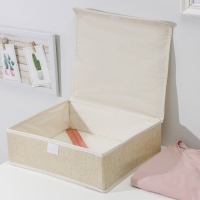 Органайзеры для хранения белья &laquo;Пастель&raquo;, 3 шт, с крышкой, 31,5&times;25&times;10 см, цвет бежевый