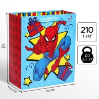 Пакет подарочный "С Днем рождения" 23х27х11.5 см, упаковка, Человек-паук