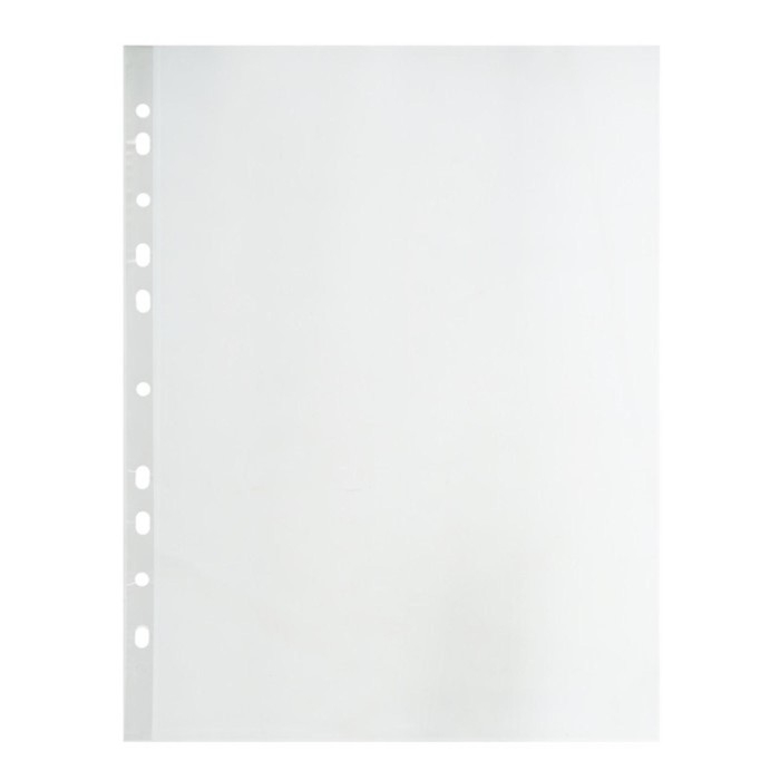 Файл-вкладыш А4, 30 мкм, Calligrata, матовый, вертикальный, 100 штук