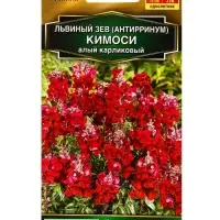 Семена цветов Львиный зев Кимоси алый карликовый  Золотая серия, Ц/П,0,05 г