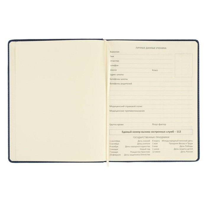 Дневник универсальный для 1-11 классов Dark blue, твёрдая обложка, искусственная кожа, резинка, ляссе, 48 листов