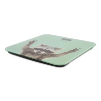 Весы напольные H-BS03589