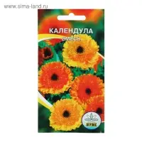 Семена цветов Календула смесь окрасок, О, 0,2 г