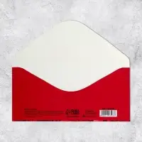 Конверт для денег &laquo;Поздравляю&raquo;, 16.5&times;8 см